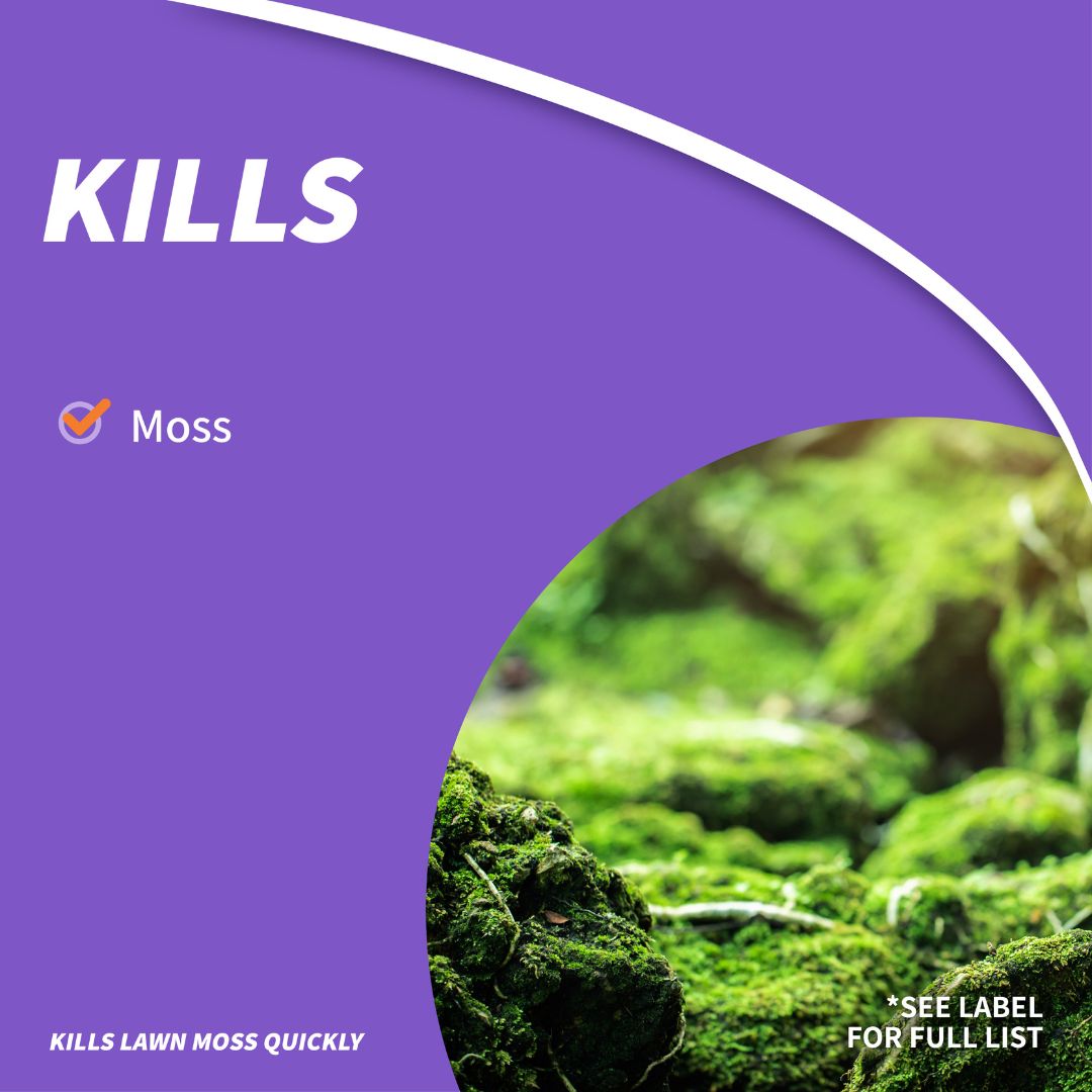 MossMax Granular – Bonide – 20 lb